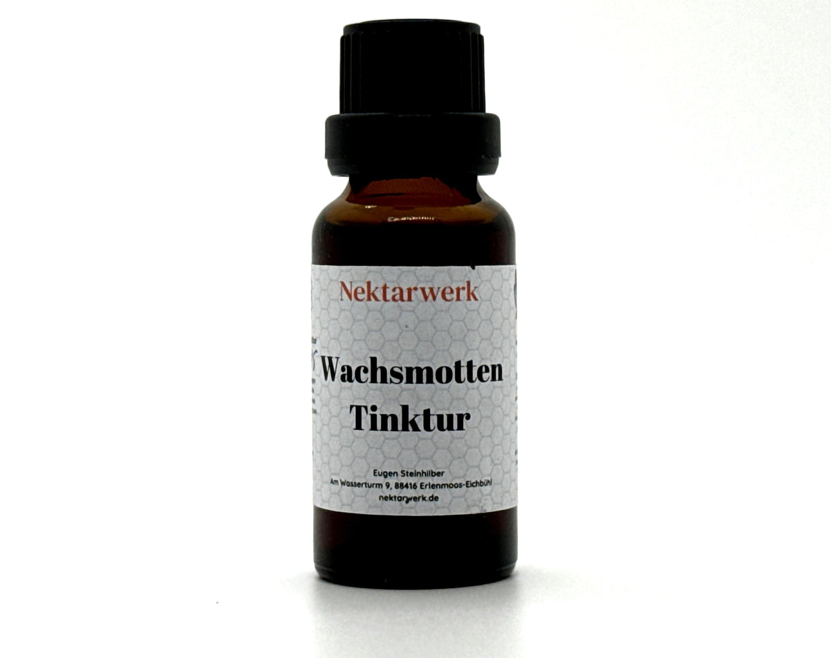 Wachsmottentinktur, Ognevka, Bienenmotte, Gesundheit, Tinktur, 