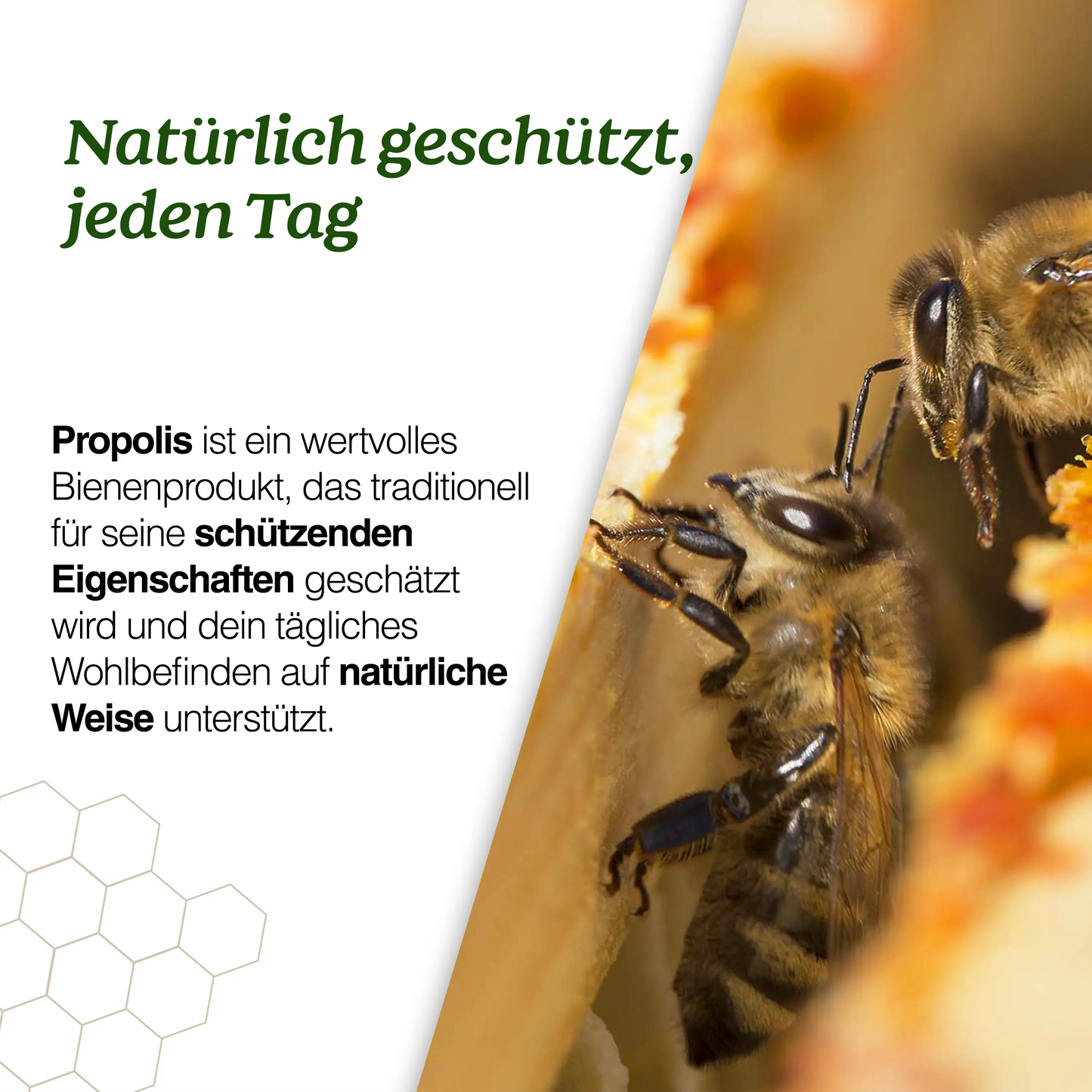 Propolis tincture