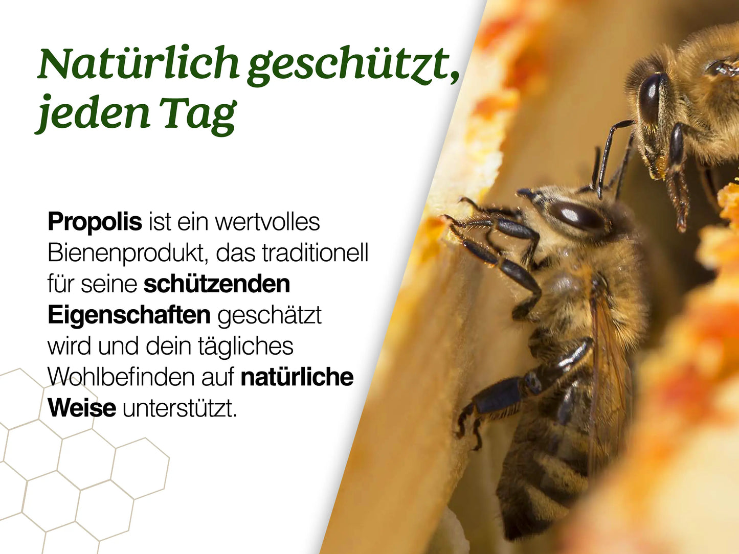 Propolis Tinktur